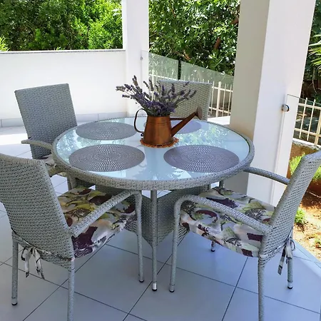 Katarina * 扎博里克