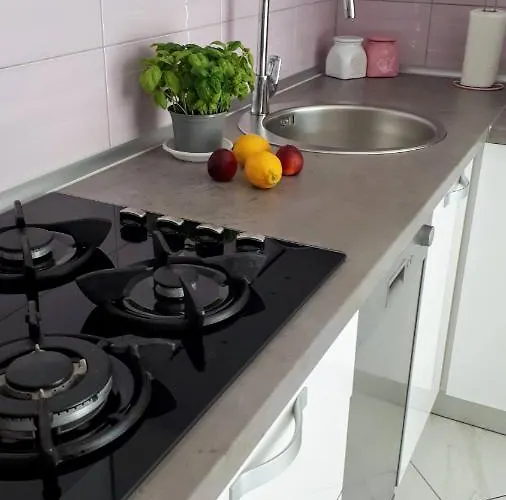 Katarina ז'אבוריץ'