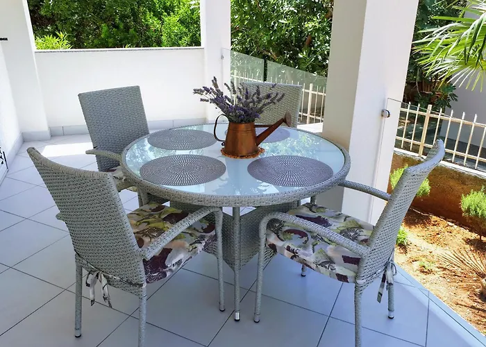 Katarina * ז'אבוריץ'